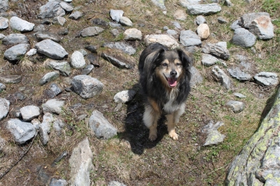 Rifugio Levi Molinari_42
