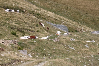 Rifugio Avanza_5