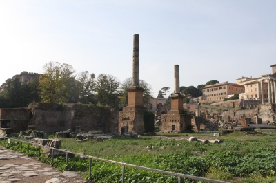 FORO_40