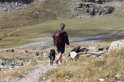Lago delle Savine_65
