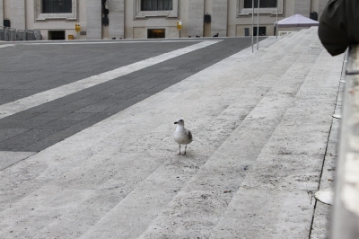 SAN PIETRO_24